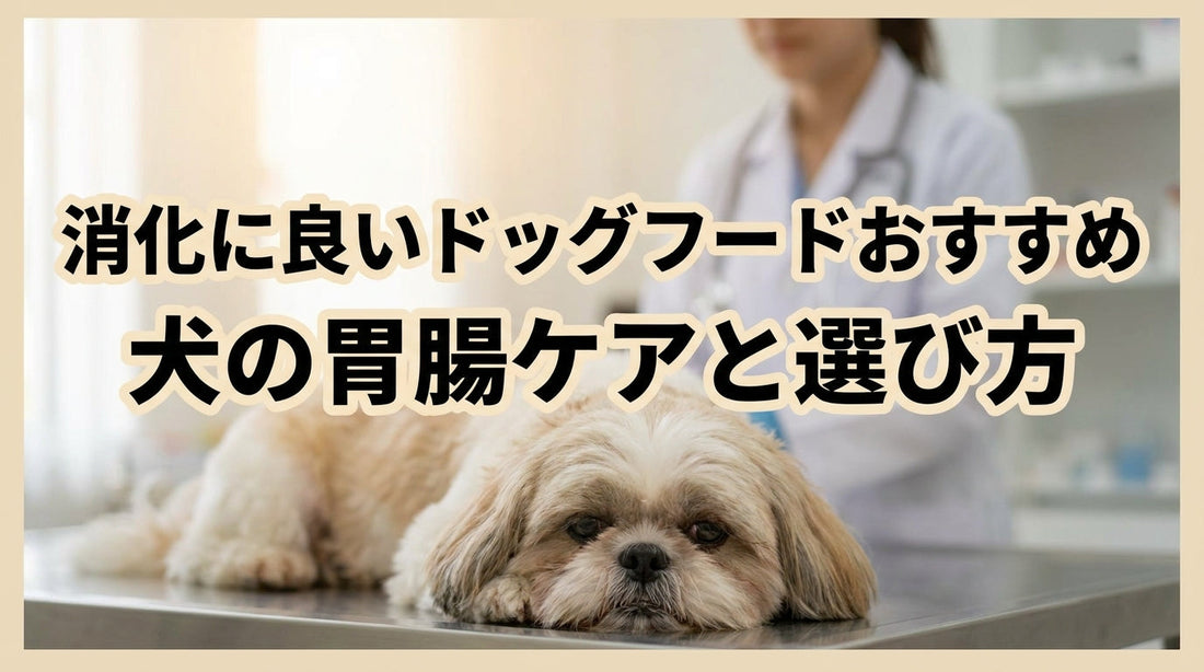 消化に良いドッグフードおすすめ 犬の胃腸ケアと選び方