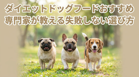 ダイエットドッグフードおすすめ 専門家が教える失敗しない選び方