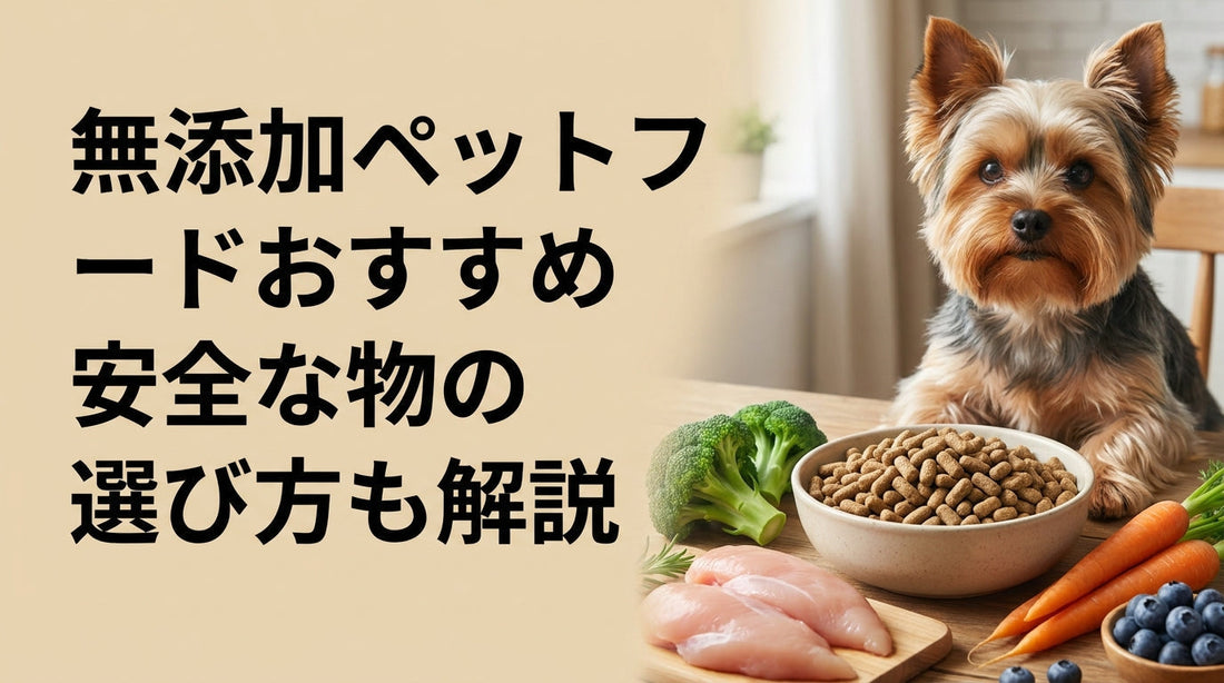無添加ペットフードおすすめ 安全な物の選び方も解説