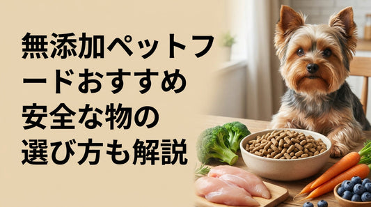 無添加ペットフードおすすめ 安全な物の選び方も解説