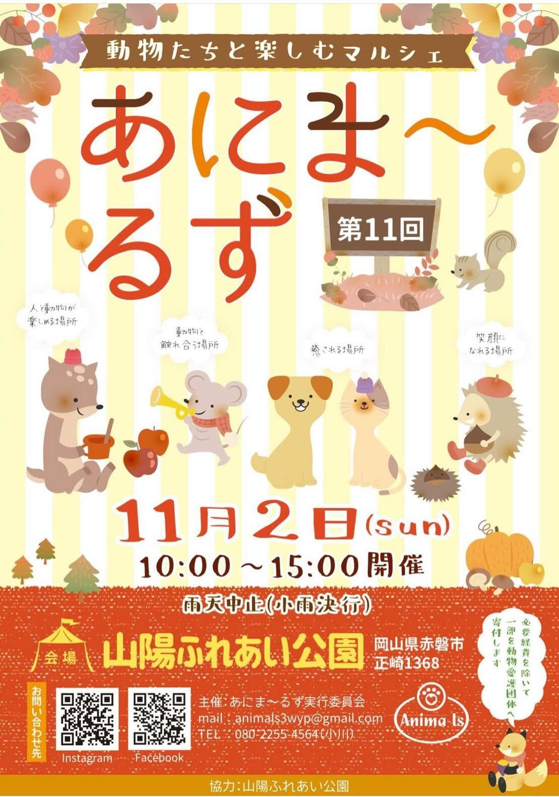 あにまーるず　第11回