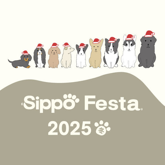 sippo festa 2025