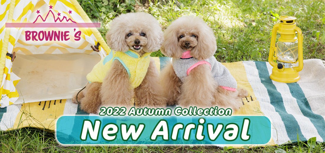 Brownies 2022 Autumn&Winter （ブラウニーズ） - Wan-Voyage（ワンボヤージュ）- お洒落なドッグウェア 犬服のお店
