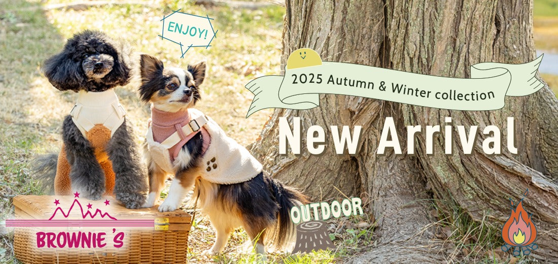 BROWNIE'S 2025 Autumn&Winter （ブラウニーズ）