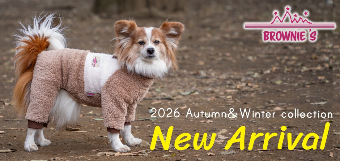 BROWNIE'S 2026 Autumn&Winter （ブラウニーズ）