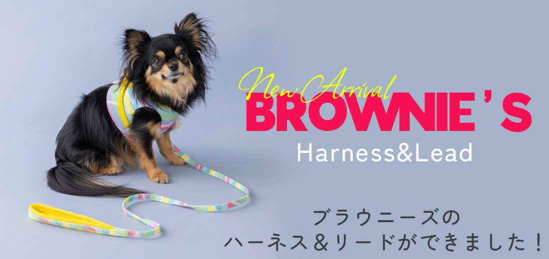 BROWNIE'S ハーネス＆リード