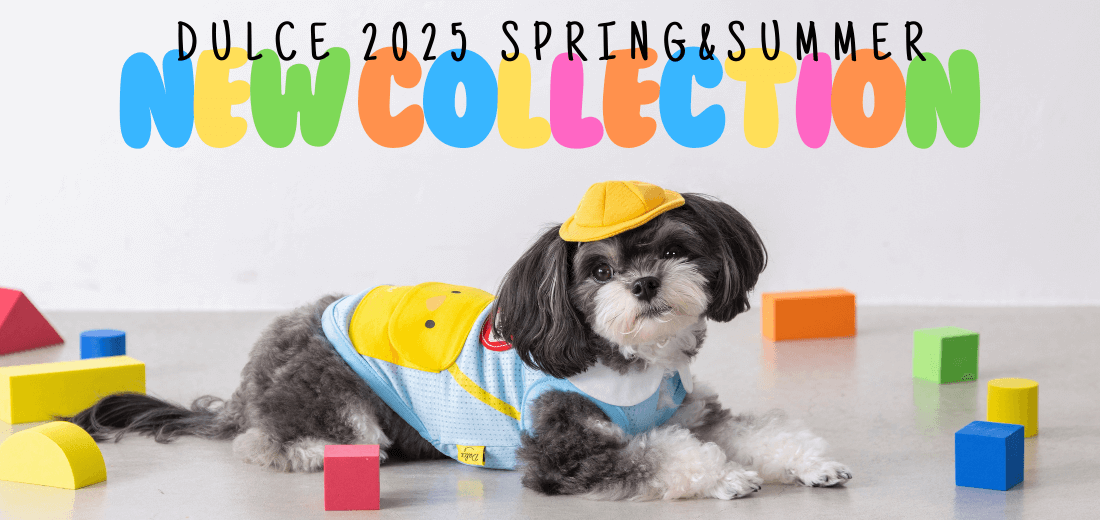 Dulce 2025 Spring&Summer （ドゥルチェ）