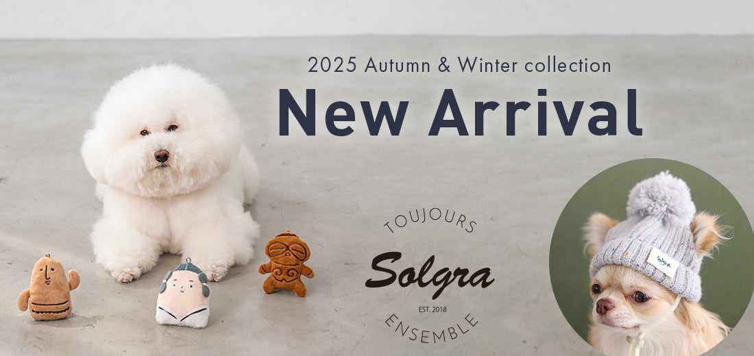 Solgra 2025 Autumn&Winter （ソルグラ）