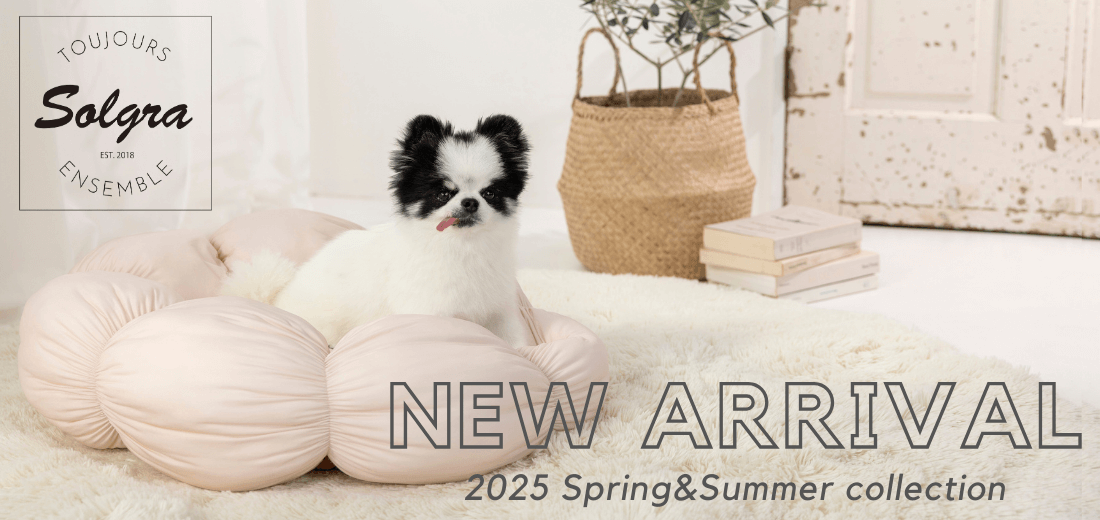 Solgra 2025 Spring&Summer （ソルグラ）