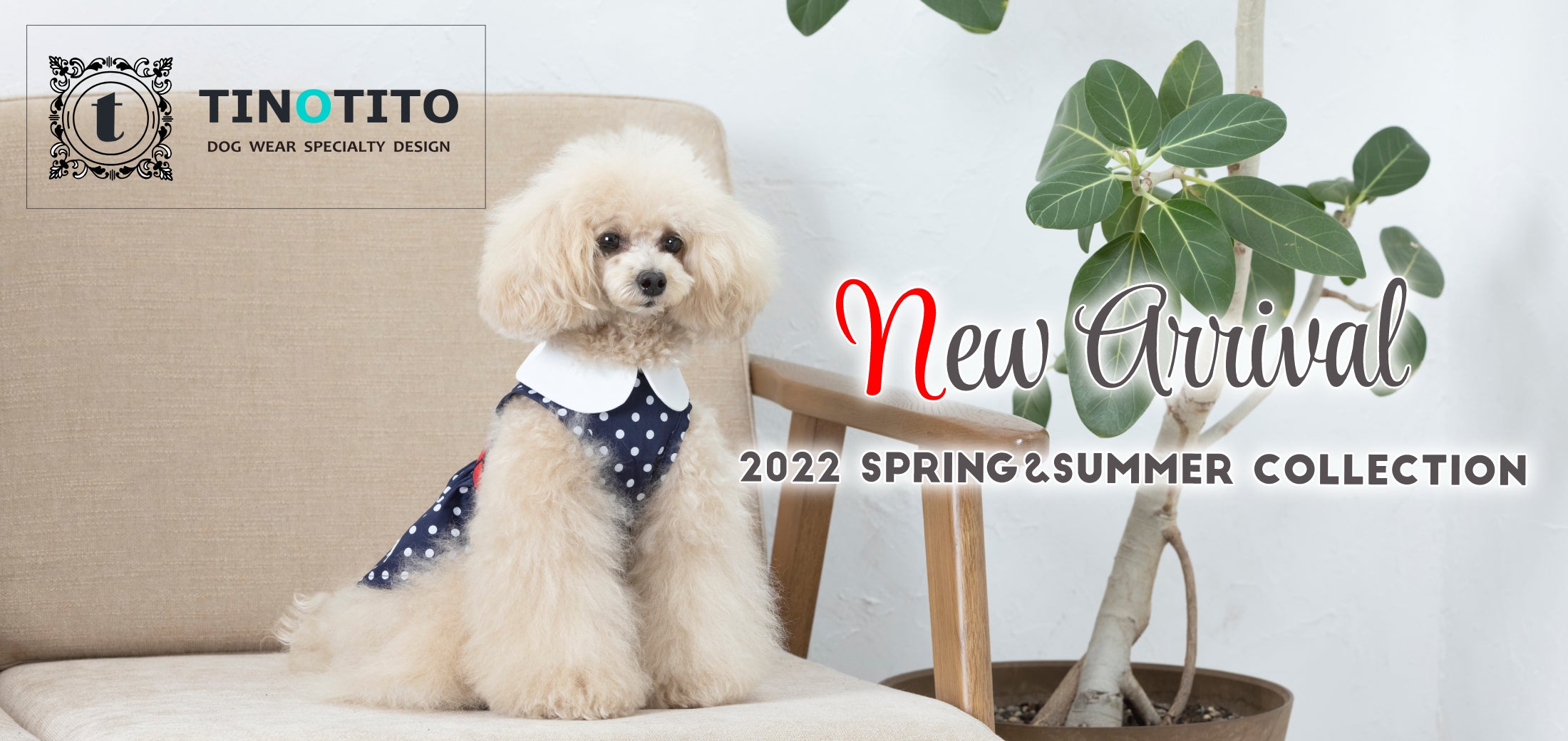 TINOTITO 2022 Spring&Summer （ティノティート）