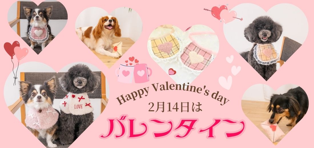 公式通販限定】節分＆バレンタイン特集 – WAN VOYAGE（ワンボヤージュ