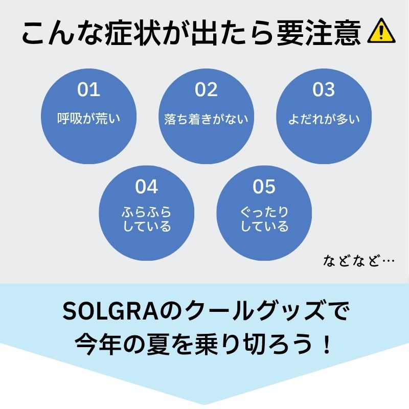 フリルクールネック S/M/L Solgra-ソルグラ- 犬用 SO25SS so252457