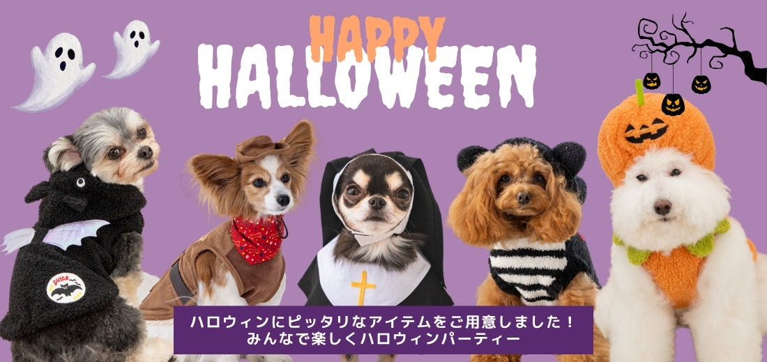 犬服セールページ Wan-Voyage ワンボヤージュ - お洒落な犬の服・ドッグウェアのお店