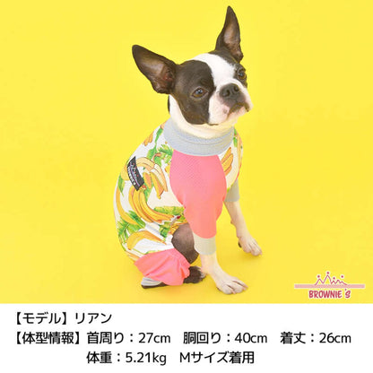 【2022年モデル】メッシュアクロン S/M/L/XL/XXL/DXS/DS/DM BROWNIE'S-ブラウニーズ- 犬服 ドッグウェア トイプードル チワワ ポメラニアン BR22SS br163681-1