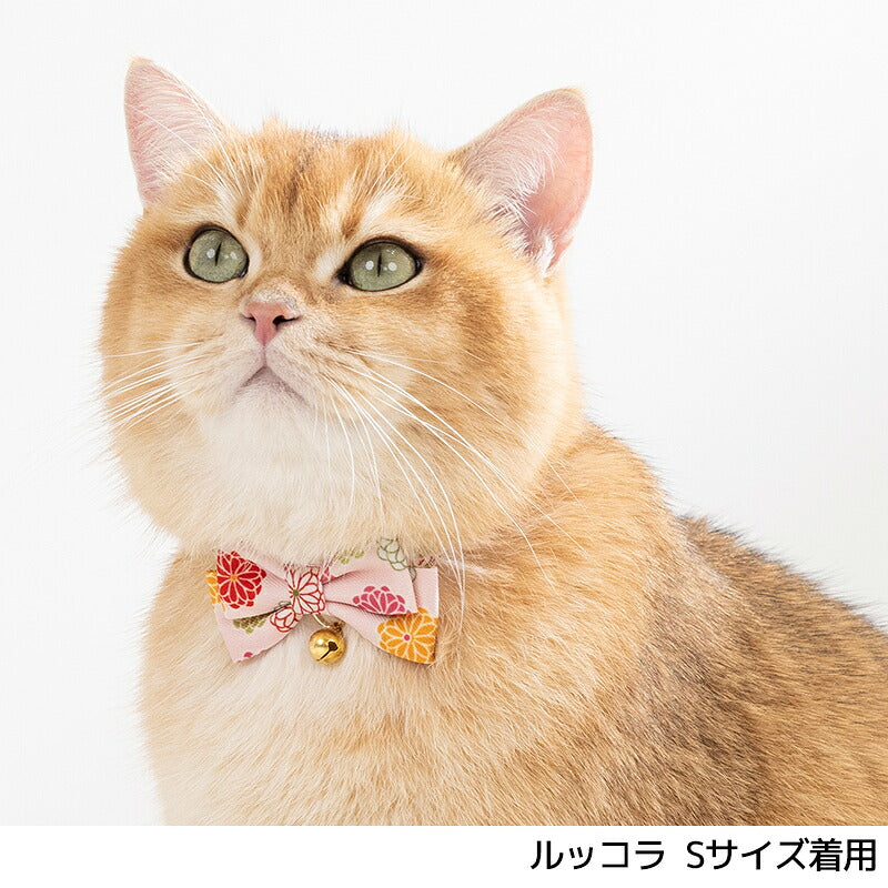 和柄猫用首輪1 S/M Amo.k 猫用