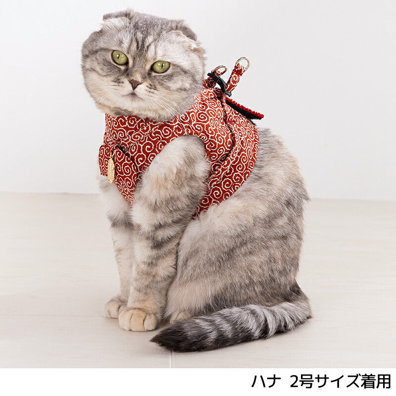 猫に小判ハーネス 1号/2号 Amo.k 猫用