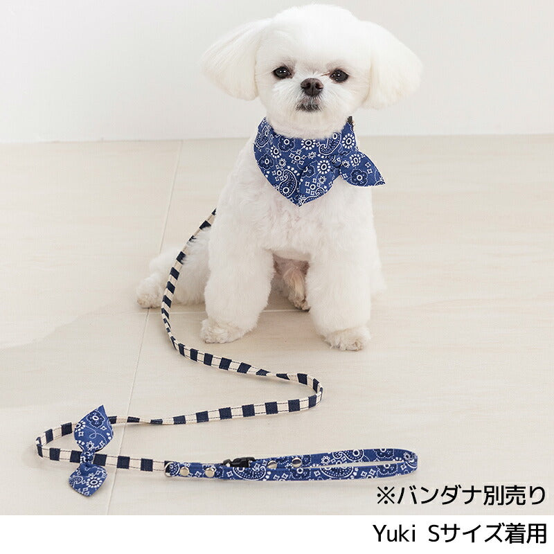 犬用カジュアルリード S/M Amo.k 犬用
