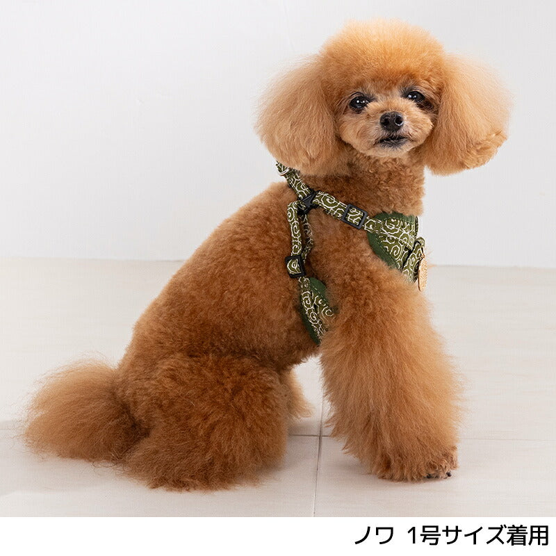 唐草小判ハーネス 1号/2号/3号/4号 Amo.k 犬用