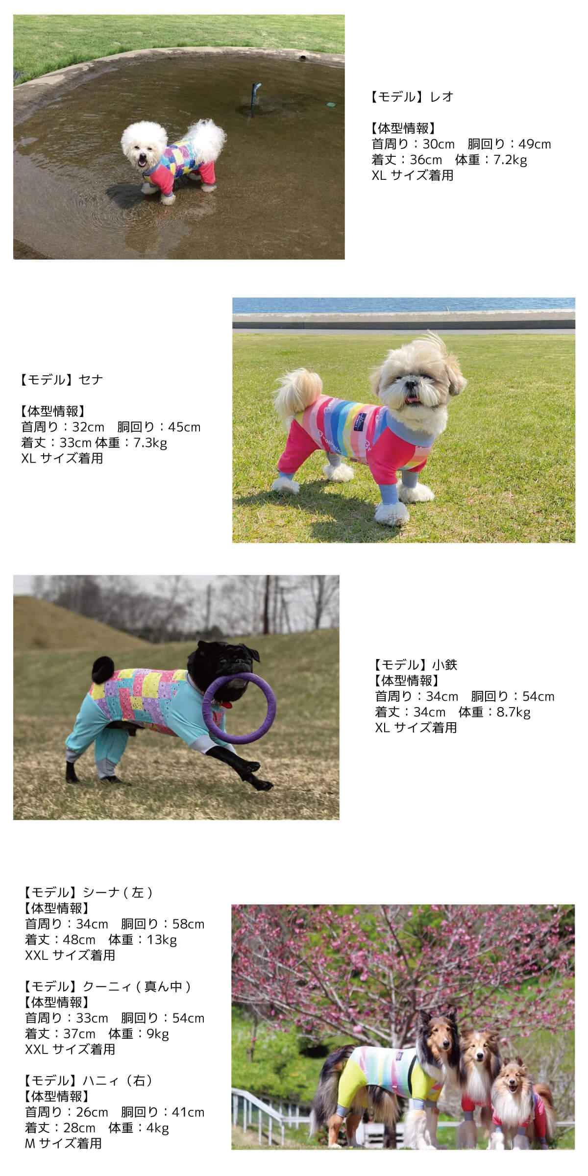 2021年モデル】アクティブロンパース 犬用ラッシュガード S/M/L/XL/XXL