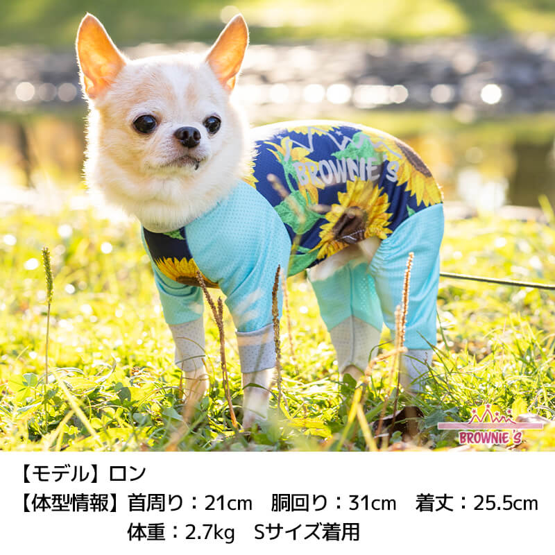 【2022年モデル】メッシュアクロン S/M/L/XL/XXL/DXS/DS/DM/4L/5L/6L/OS/OM/OL アクティブロンパース 犬用ラッシュガード BROWNIE'S-ブラウニーズ- 犬服  部屋着 散歩 キャンプ 犬の服 小型犬 中型犬 大型犬 雨の日 BR22SS br163681-1