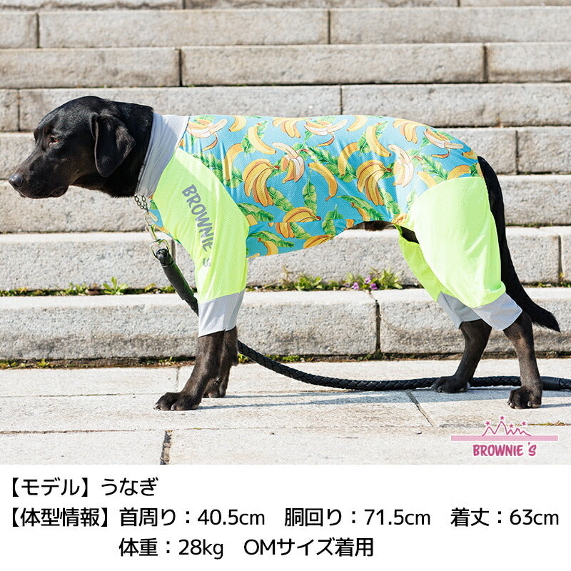 【2022年モデル】メッシュアクロン S/M/L/XL/XXL/DXS/DS/DM/4L/5L/6L/OS/OM/OL アクティブロンパース 犬用ラッシュガード BROWNIE'S-ブラウニーズ- 犬服  部屋着 散歩 キャンプ 犬の服 小型犬 中型犬 大型犬 雨の日 BR22SS br163681-1