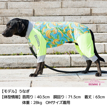 【2022年モデル】メッシュアクロン S/M/L/XL/XXL/DXS/DS/DM/4L/5L/6L/OS/OM/OL アクティブロンパース 犬用ラッシュガード BROWNIE'S-ブラウニーズ- 犬服  部屋着 散歩 キャンプ 犬の服 小型犬 中型犬 大型犬 雨の日 BR22SS br163681-1