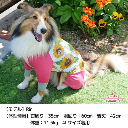 【2022年モデル】メッシュアクロン S/M/L/XL/XXL/DXS/DS/DM/4L/5L/6L/OS/OM/OL アクティブロンパース 犬用ラッシュガード BROWNIE'S-ブラウニーズ- 犬服  部屋着 散歩 キャンプ 犬の服 小型犬 中型犬 大型犬 雨の日 BR22SS br163681-1