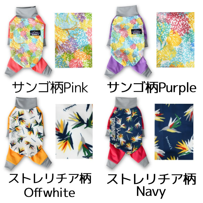 【2023年モデル】アクティブロンパース ストレリチア柄 サンゴ柄 犬用ラッシュガード S/M/L/XL/XXL/DXS/DS/DM/4L/5L/6L/OS/OM/OL BROWNIE'S-ブラウニーズ- アクロン 小型犬 大型犬 犬服 ドッグウェア BR23SS br231722-1