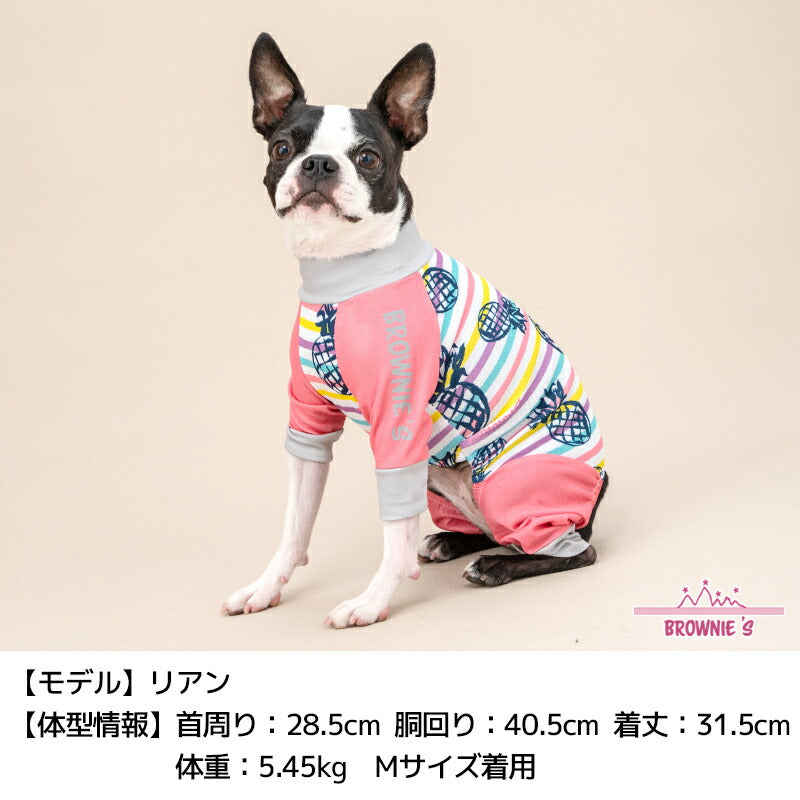 【2024年モデル】カラフルボーダーメッシュアクロン S/M/L/XL/XXL/DXS/DS/DM/FBS/FBM/FBL/4L/5L/6L/OS/OM/OL BROWNIE'S-ブラウニーズ- 犬服 ドッグウェア 小型犬 ダックス フレブル 中大型犬 暑さ対策 冷感 BR24SS br241763-1