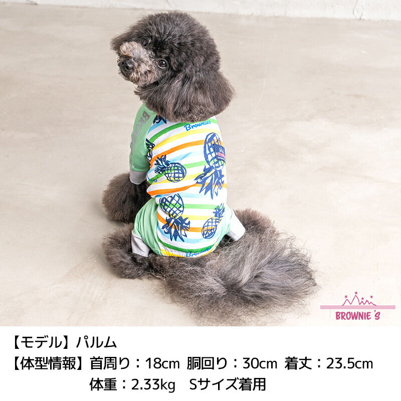 【2024年モデル】カラフルボーダーメッシュアクロン S/M/L/XL/XXL/DXS/DS/DM/FBS/FBM/FBL/4L/5L/6L/OS/OM/OL BROWNIE'S-ブラウニーズ- 犬服 ドッグウェア 小型犬 ダックス フレブル 中大型犬 暑さ対策 冷感 BR24SS br241763-1
