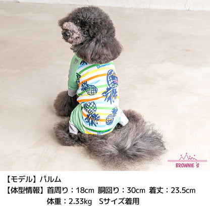 【2024年モデル】カラフルボーダーメッシュアクロン S/M/L/XL/XXL/DXS/DS/DM/FBS/FBM/FBL/4L/5L/6L/OS/OM/OL BROWNIE'S-ブラウニーズ- 犬服 ドッグウェア 小型犬 ダックス フレブル 中大型犬 暑さ対策 冷感 BR24SS br241763-1