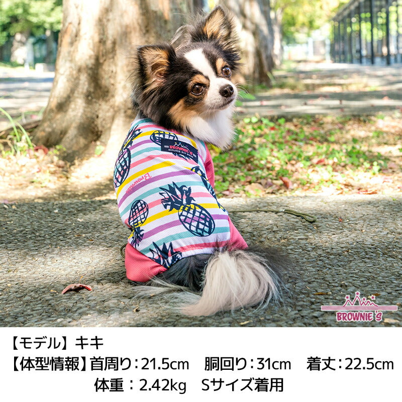 【2024年モデル】カラフルボーダーメッシュアクロン S/M/L/XL/XXL/DXS/DS/DM/FBS/FBM/FBL/4L/5L/6L/OS/OM/OL BROWNIE'S-ブラウニーズ- 犬服 ドッグウェア 小型犬 ダックス フレブル 中大型犬 暑さ対策 冷感 BR24SS br241763-1