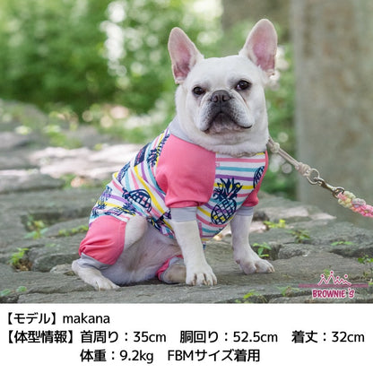 カラフルボーダーメッシュアクロン S/M/L/XL/XXL/DXS/DS/DM/FBS/FBM/FBL/4L/5L/6L/OS/OM/OL BROWNIE'S-ブラウニーズ- 犬服 ドッグウェア 小型犬 ダックス フレブル 中大型犬 BR24SS br241763-1