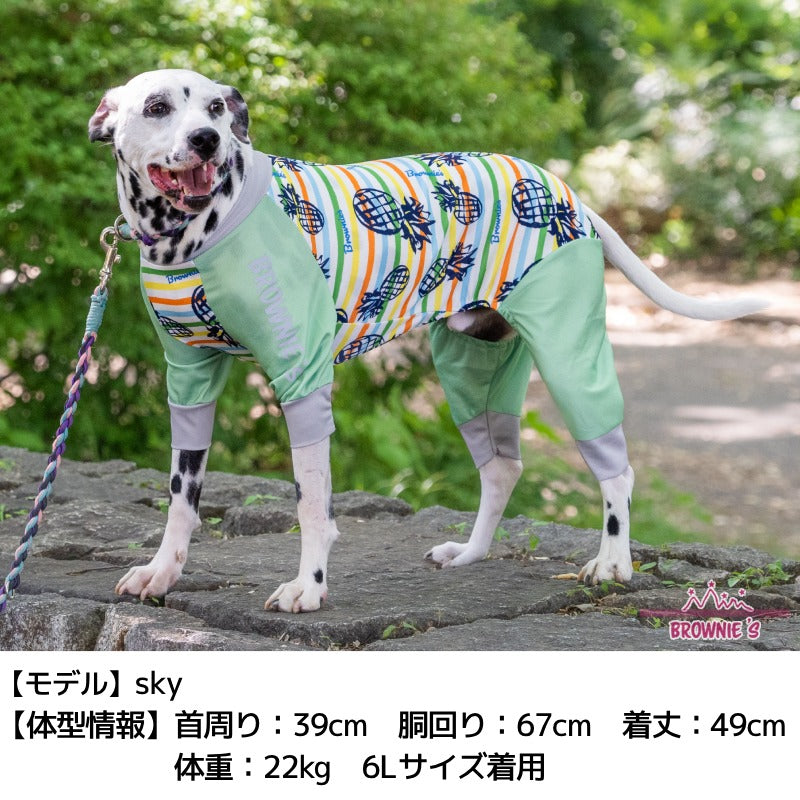 カラフルボーダーメッシュアクロン S/M/L/XL/XXL/DXS/DS/DM/FBS/FBM/FBL/4L/5L/6L/OS/OM/OL BROWNIE'S-ブラウニーズ- 犬服 ドッグウェア 小型犬 ダックス フレブル 中大型犬 BR24SS br241763-1