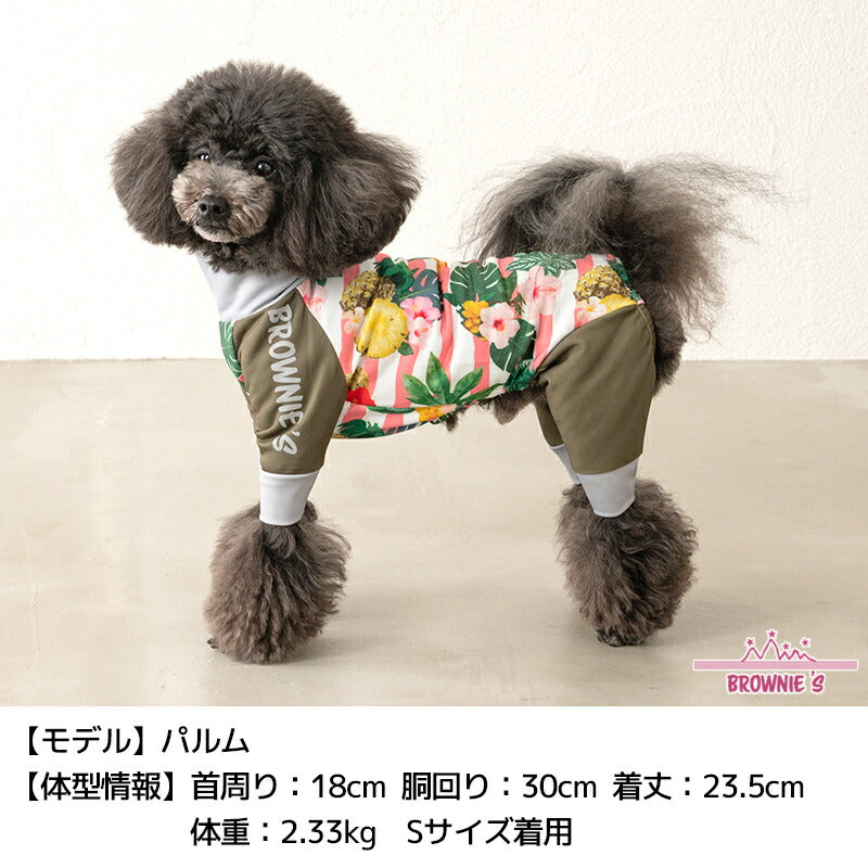 2024年モデル】アクティブロンパース 犬用ラッシュガード S/M/L/XL/XXL