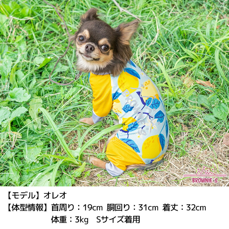 2025年モデル】メッシュアクティブロンパース 犬用ラッシュガードS/M/L