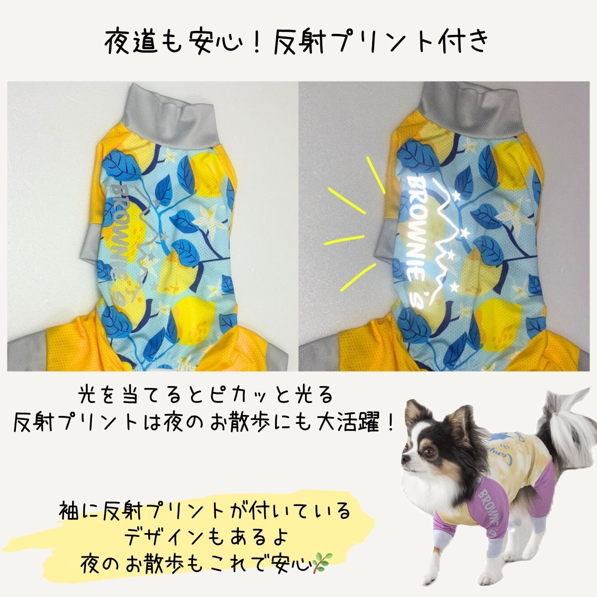 2025年モデル】メッシュアクティブロンパース 犬用ラッシュガードS/M/L