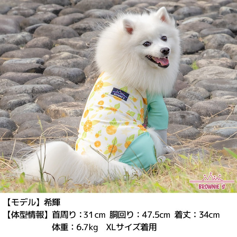 2026年モデル】撥水アクティブロンパース 犬用ラッシュガード XS/S/M/L