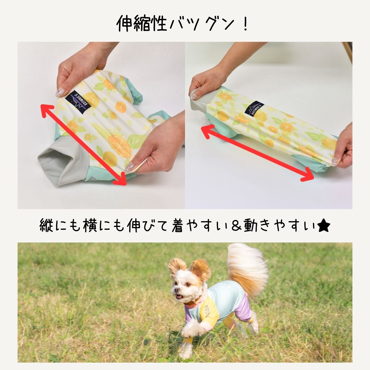 2026年モデル】撥水アクティブロンパース 犬用ラッシュガード XS/S/M/L