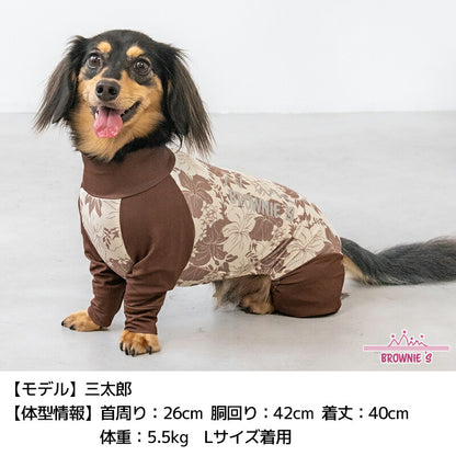 【2026年モデル】メッシュアクティブロンパース XS/S/M/L/XL/XXL/DXS/DS/DM/FBS/FBM/FBL/4L/4DL/5L/5DL/6L/6DL/OS/OM/OL/OXL BROWNIE'S-ブラウニーズ- 犬服 ドッグウェア 小型犬 中型犬 大型犬 ダックス フレブル コーギー BR26SS br261831