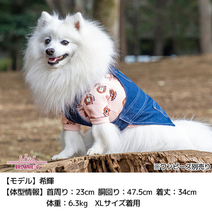 シャウトベアベロアトレーナー S/M/L/XL/XXL BROWNIE'S-ブラウニーズ- 暖かい 犬服 ドッグウェア 小型犬 BR26AW br261856