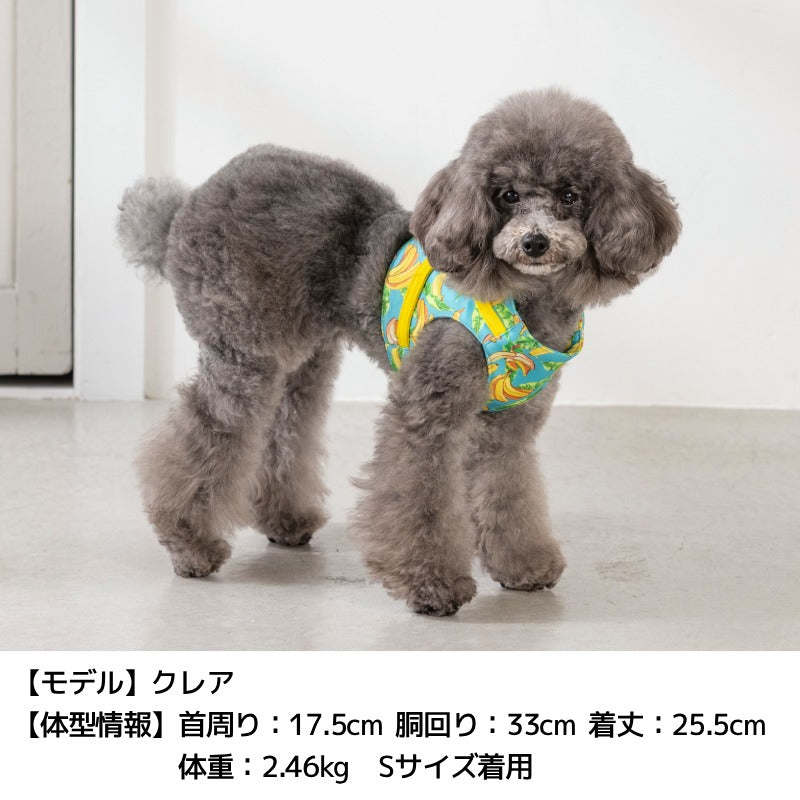 BROWNIE'S ベスト型ソフトハーネス S/M/L/XL ブラウニーズ 犬用 犬具 お散歩 小型犬用 トイプードル チワワ ダックス ドッグウェア BR26AW br269860
