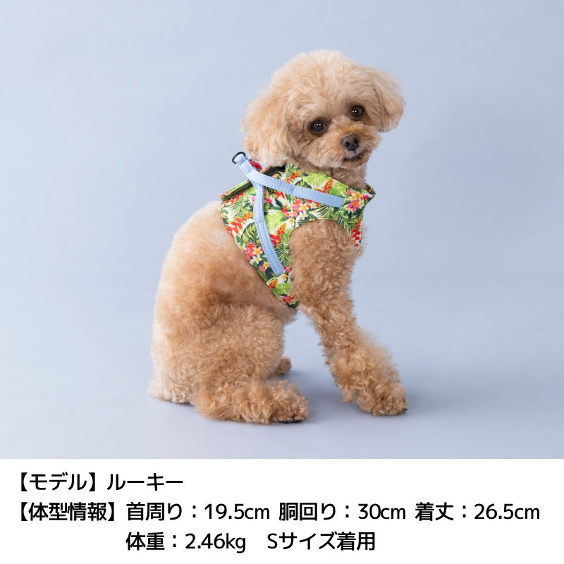 BROWNIE'S ベスト型ソフトハーネス S/M/L/XL ブラウニーズ 犬用 犬具 お散歩 小型犬用 トイプードル チワワ ダックス ドッグウェア BR26AW br269860