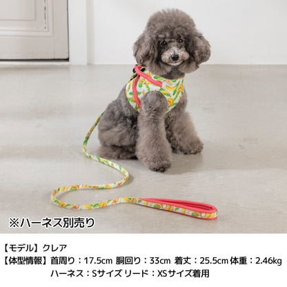 BROWNIE'S ソフトリード XS/S ブラウニーズ 犬用 犬具 お散歩 小型犬用 トイプードル チワワ ダックス ドッグウェア BR26AW br269864