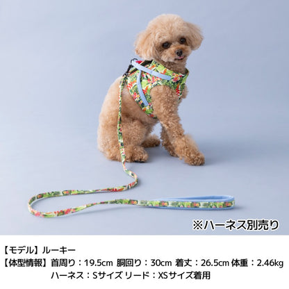BROWNIE'S ソフトリード XS/S ブラウニーズ 犬用 犬具 お散歩 小型犬用 トイプードル チワワ ダックス ドッグウェア BR26AW br269864