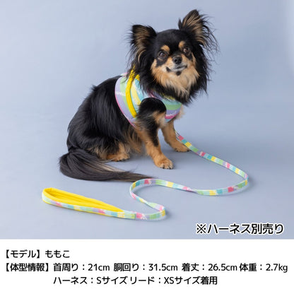 BROWNIE'S ソフトリード XS/S ブラウニーズ 犬用 犬具 お散歩 小型犬用 トイプードル チワワ ダックス ドッグウェア BR26AW br269864