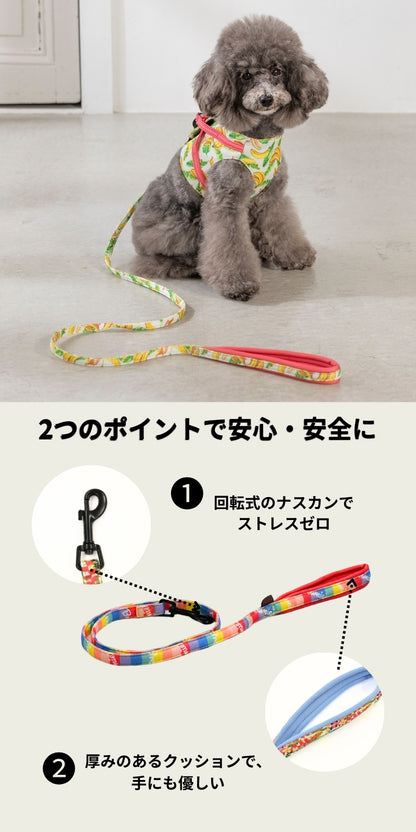 BROWNIE'S ソフトリード XS/S ブラウニーズ 犬用 犬具 お散歩 小型犬用 トイプードル チワワ ダックス ドッグウェア BR26AW br269864