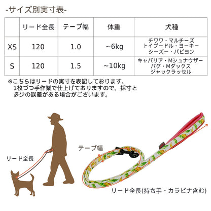 BROWNIE'S ソフトリード XS/S ブラウニーズ 犬用 犬具 お散歩 小型犬用 トイプードル チワワ ダックス ドッグウェア BR26AW br269864