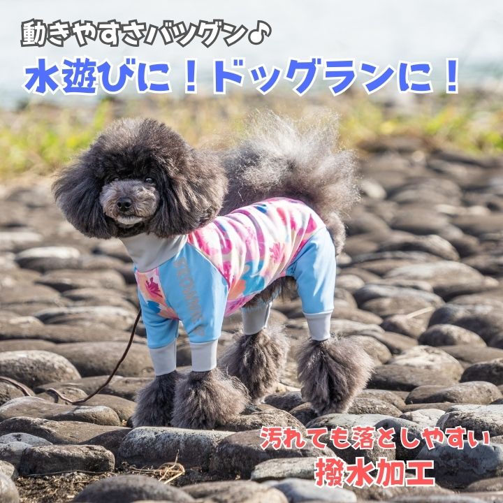 2025年モデル】アクティブロンパース XS/S/M/L/XL/XXL/DXS/DS/DM/DL