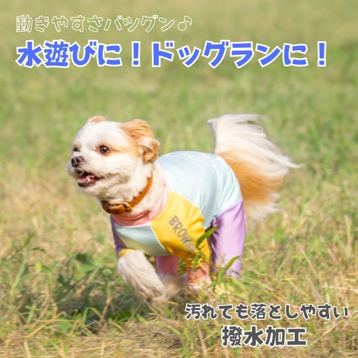 2026年モデル】撥水アクティブロンパース 犬用ラッシュガード XS/S/M/L